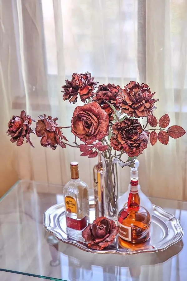 아파트 Dream Residence Romantic 부쿠레슈티